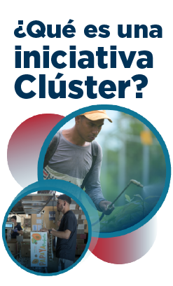 ¿Qué es una iniciativa Clúster?